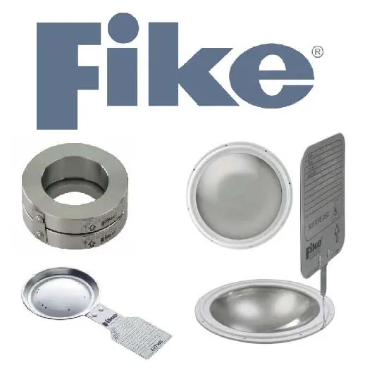 FIKE Gruppo.jpg